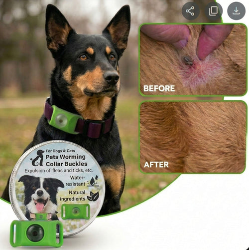 LuvWoof™ 12 Months Flea and Tick Free