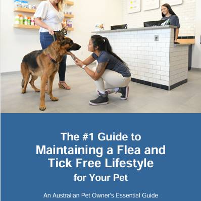 A Simple Guide to Flea & Tick-Free Living for Pets