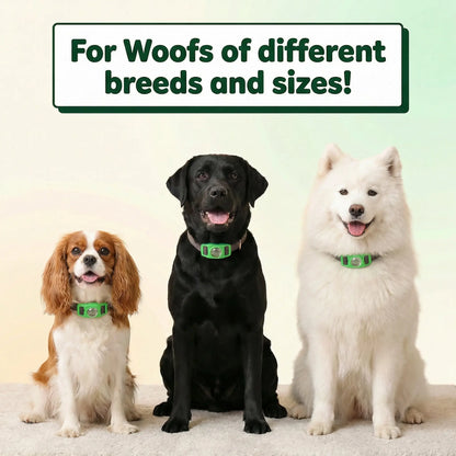 LuvWoof™ Bug Buckle All Natural 12 Month Flea & Tick Deterrent