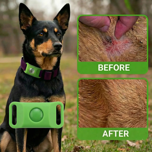 LuvWoof™ Natural Flea & Tick Buckle