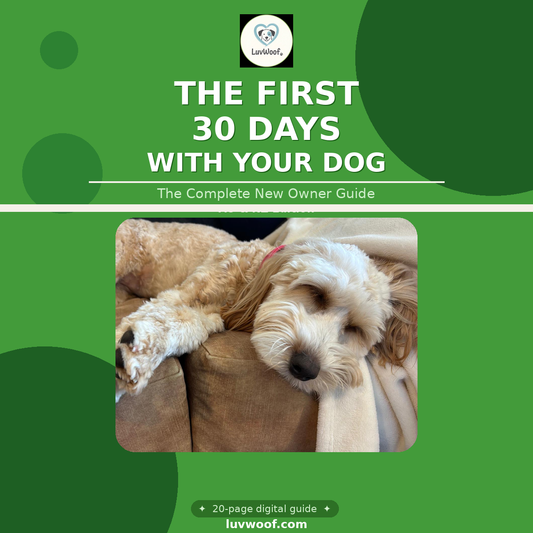 The First 30 Days With Your Dog — Complete New Owner Guide