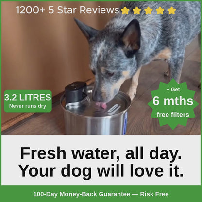 LuvWoof™ Filtered Water Fountain + 7 Filters Free