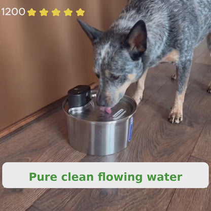 LuvWoof™ Pureflow Water Fountain